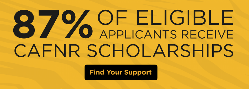 Graphic says, 87% of eligible applicants receive CAFNR scholarships