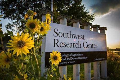 The Southwest Research Center broke ground on the new site on Thursday, Sept. 13, 2018. Construction began toward the end of September 2018.