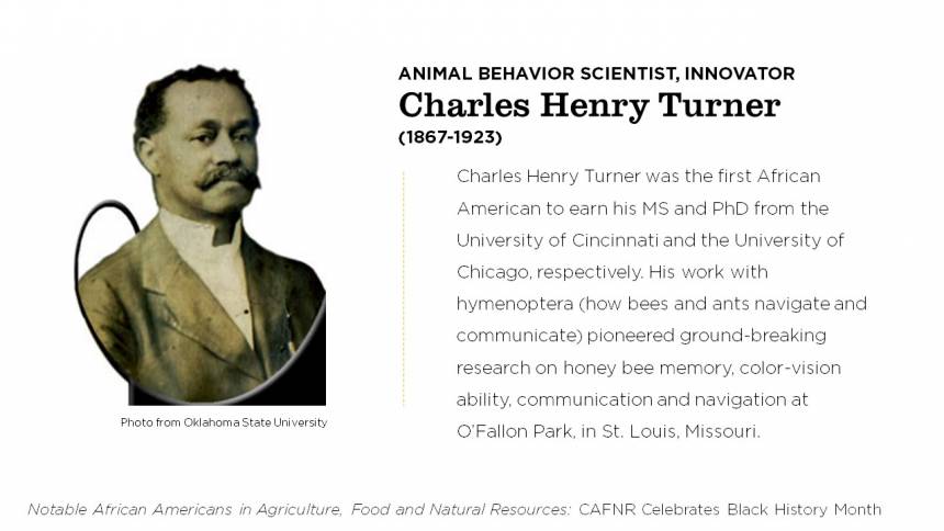 Charles Henry Turner