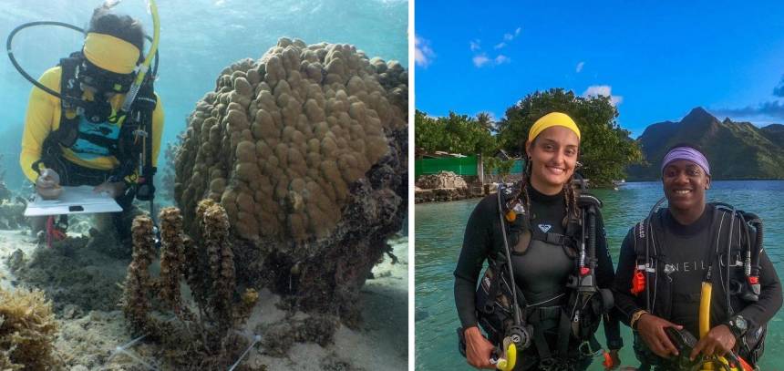 Alyssa Fritz underwater in scuba gear, and standing in ocean with colleague